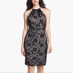 NWT Eliza J Lace Metal Neckline Dress